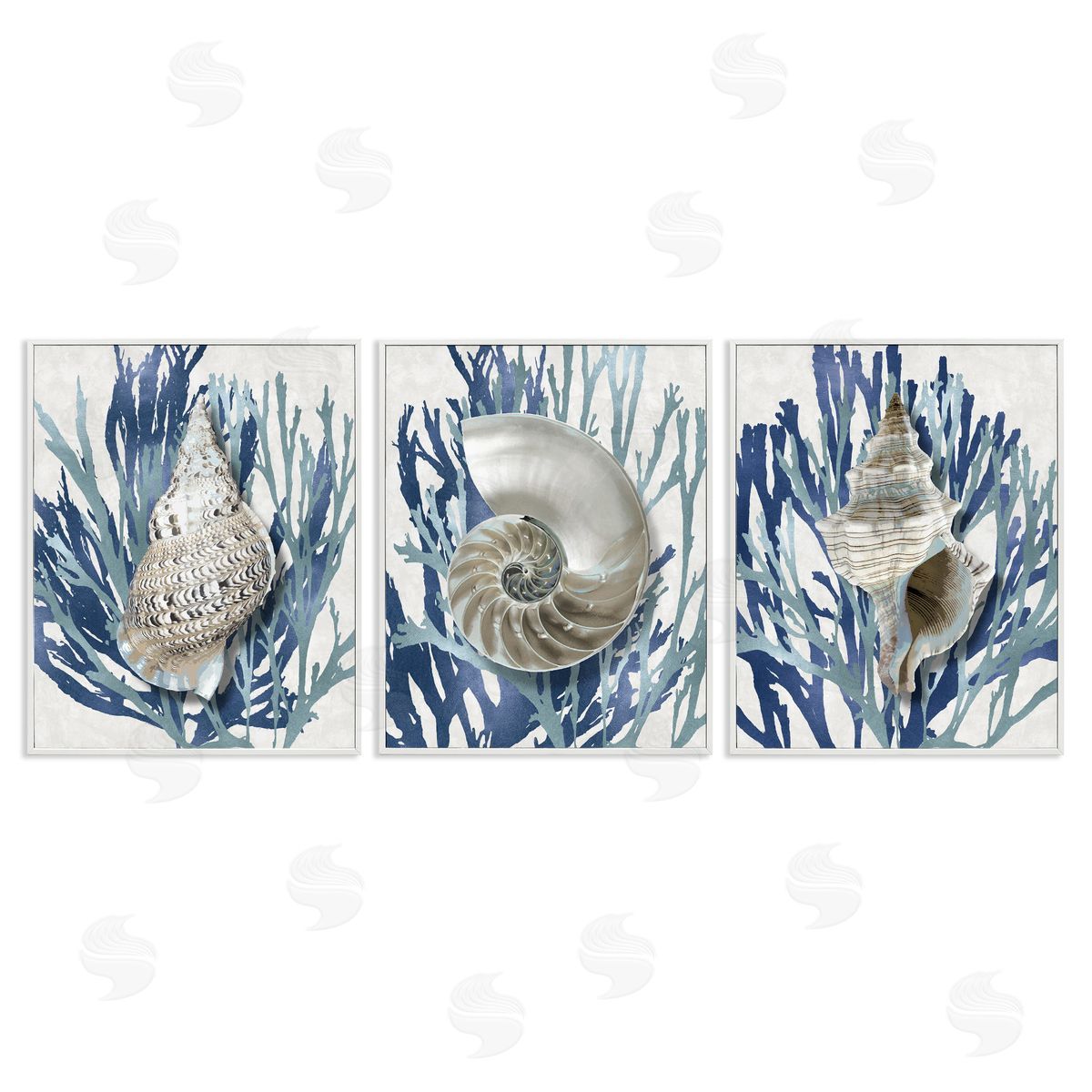 Trio of Shells & Coral White Frame Print Wall Art, Home Decor by Caroline Kelly