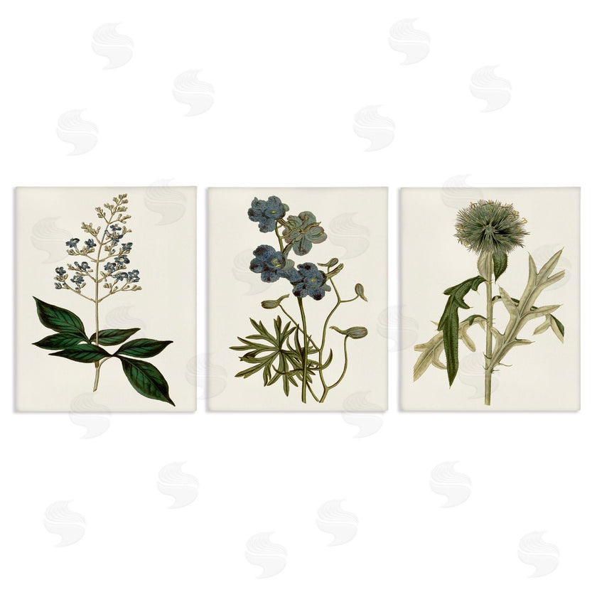 Curtis | Vintage Botanical Flowers on Beige