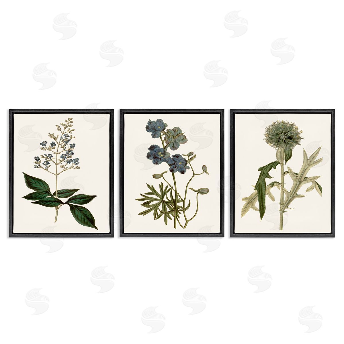 Vintage Botanical Flowers on Beige Black Floating Frame Canvas Wall Art, Home Decor by Curtis