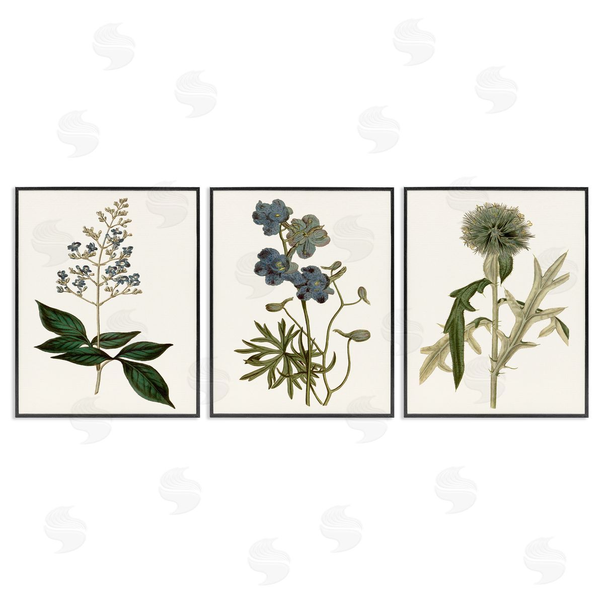 Vintage Botanical Flowers on Beige Black Frame Print Wall Art, Home Decor by Curtis