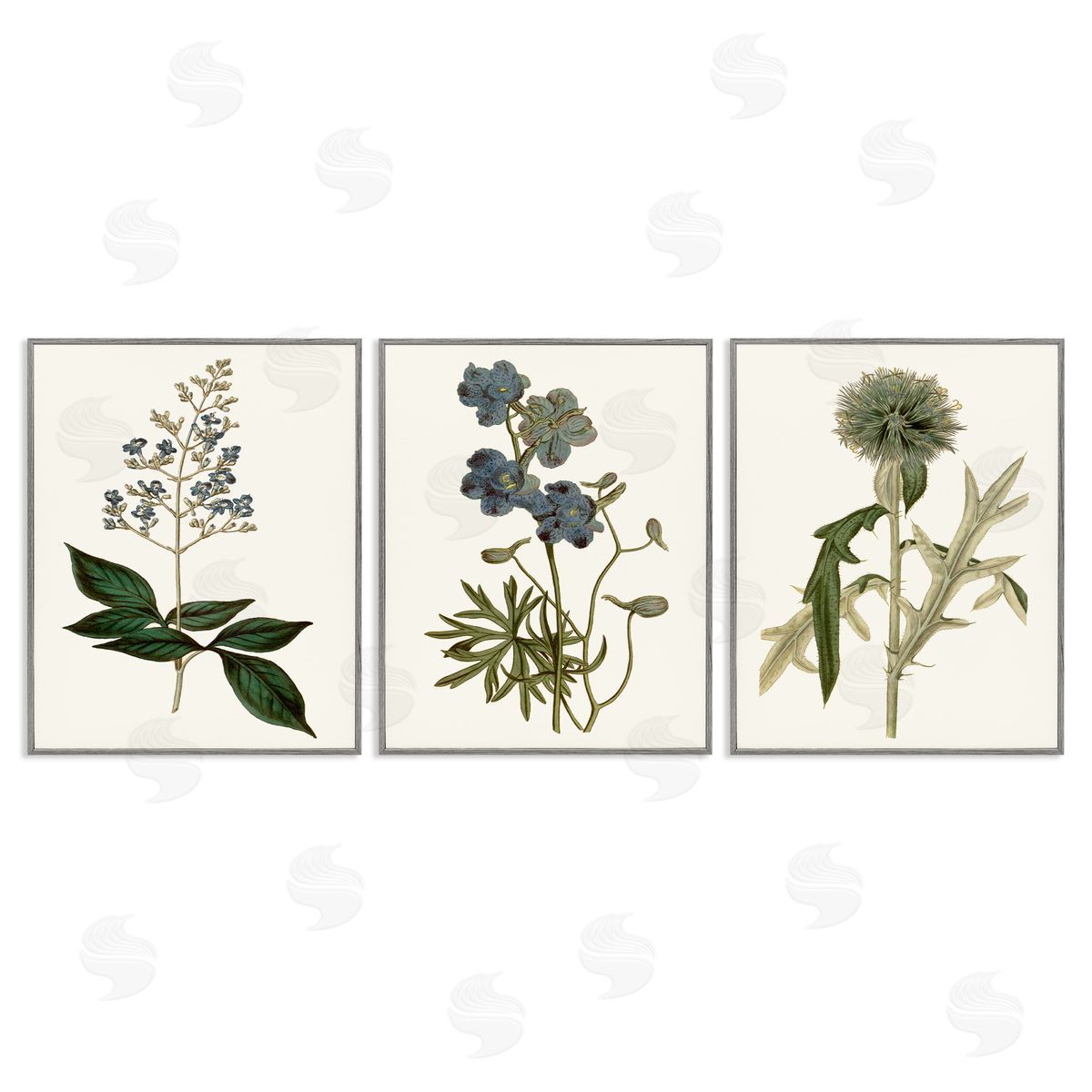 Vintage Botanical Flowers on Beige Grey Frame Print Wall Art, Home Decor by Curtis