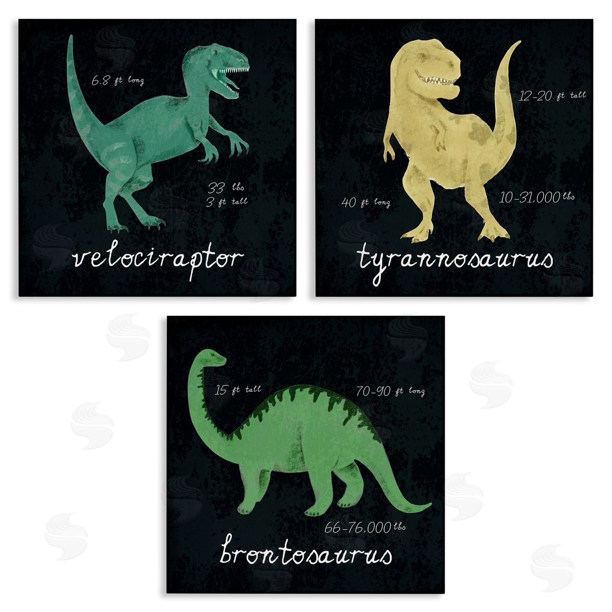 Dinosaur Facts Chalk Inspired Design Canvas Wall Art, Home Decor by Stupell Studio