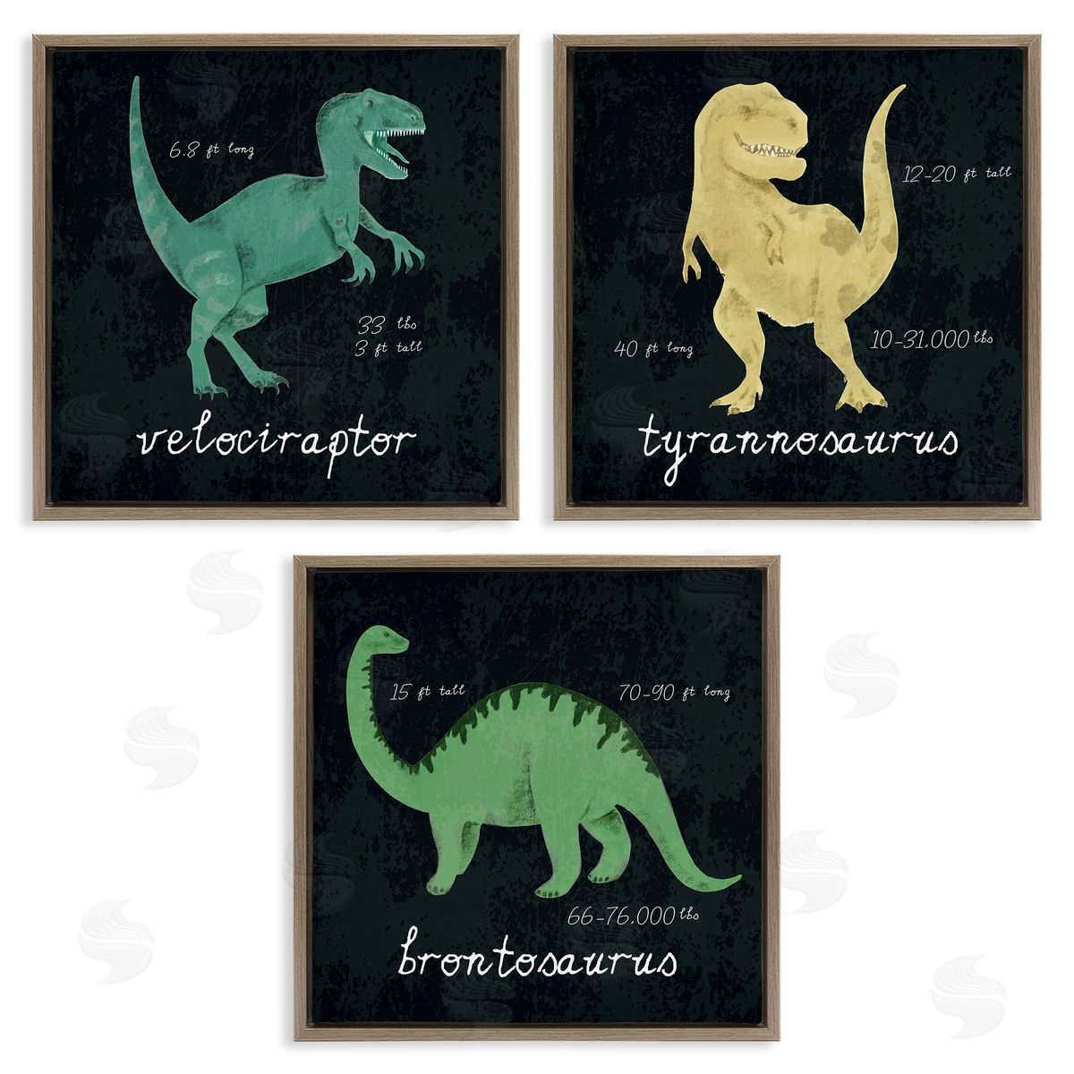 Dinosaur Facts Chalk Inspired Design Brown Floating Frame Canvas Wall Art, Home Decor by Stupell Studio