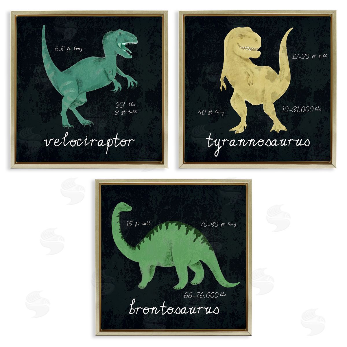 Dinosaur Facts Chalk Inspired Design Gold Floating Frame Canvas Wall Art, Home Decor by Stupell Studio