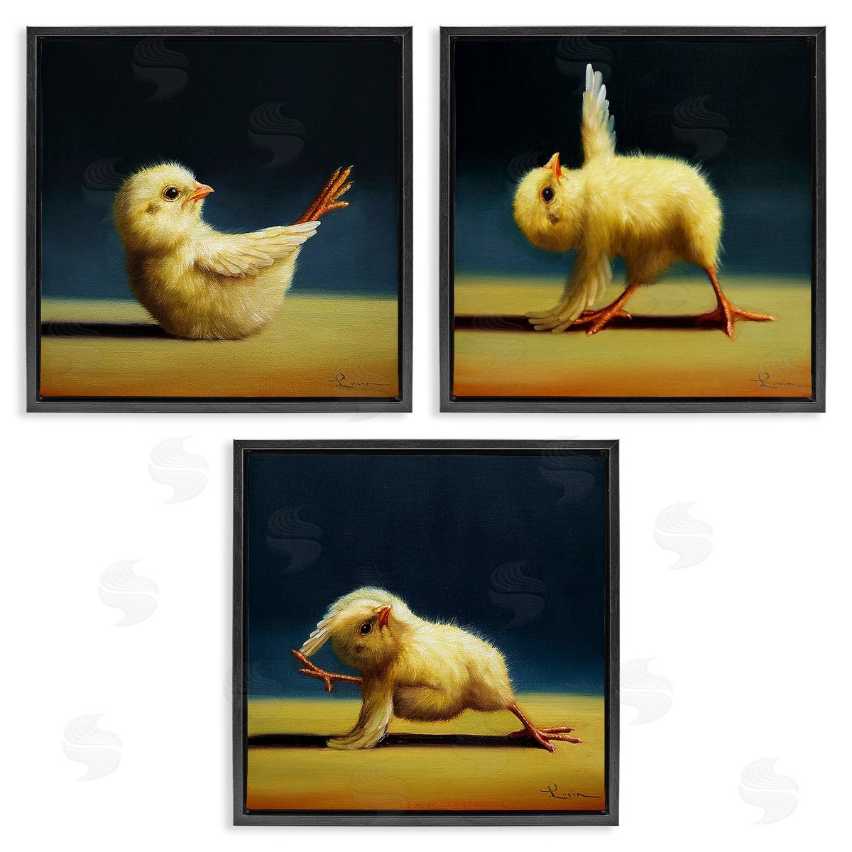 Yoga Chick Trio Funny Farm Animals Black Floating Frame Canvas Wall Art, Home Decor by Lucia Heffernan