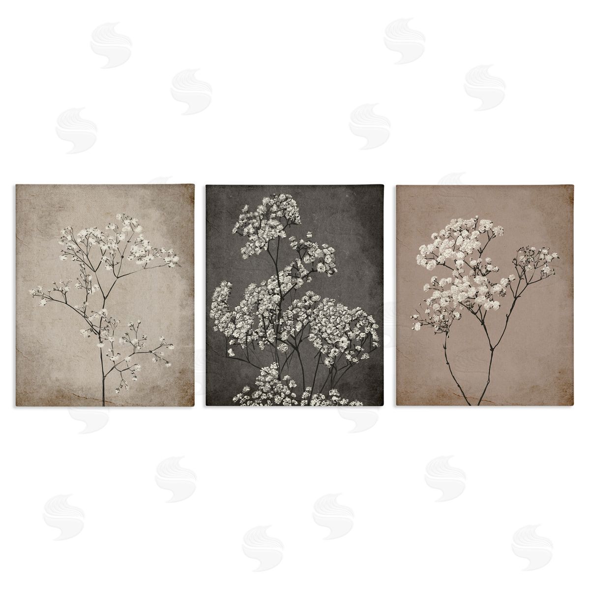 Botanical Baby's Breath Herbs Canvas Wall Art, Home Decor by Ros Ruseva