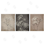 Ros Ruseva | Botanical Baby's Breath Herbs