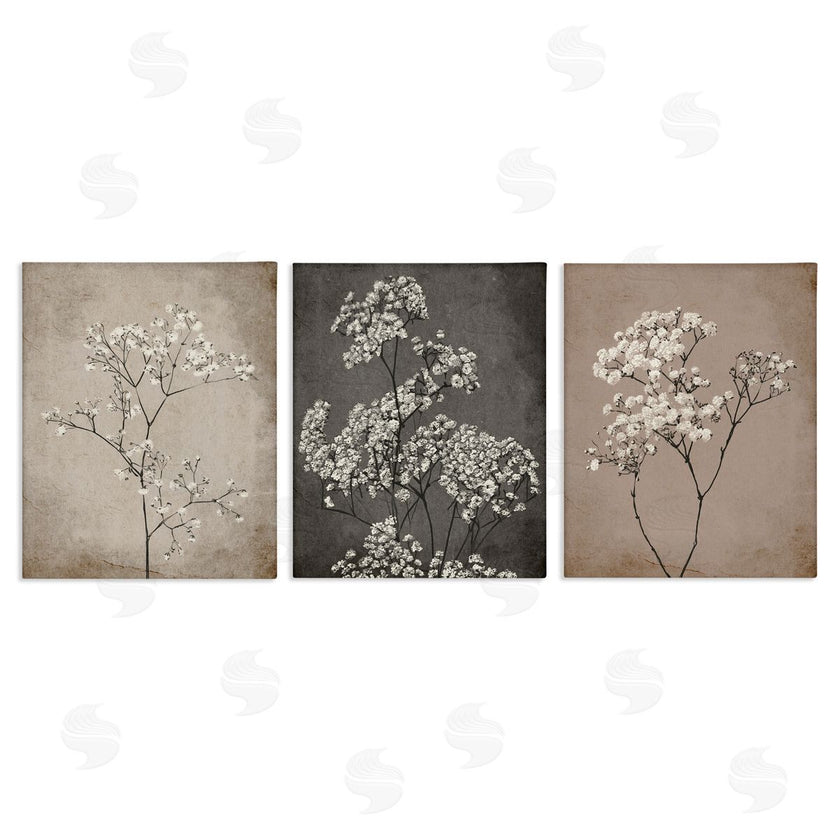Ros Ruseva | Botanical Baby's Breath Herbs