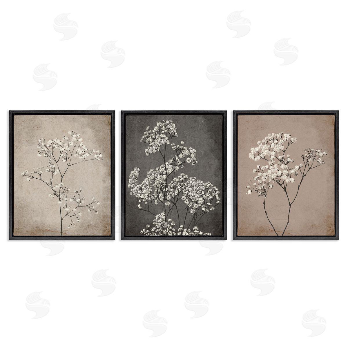 Botanical Baby's Breath Herbs Black Floating Frame Canvas Wall Art, Home Decor by Ros Ruseva