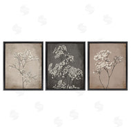 Ros Ruseva | Botanical Baby's Breath Herbs