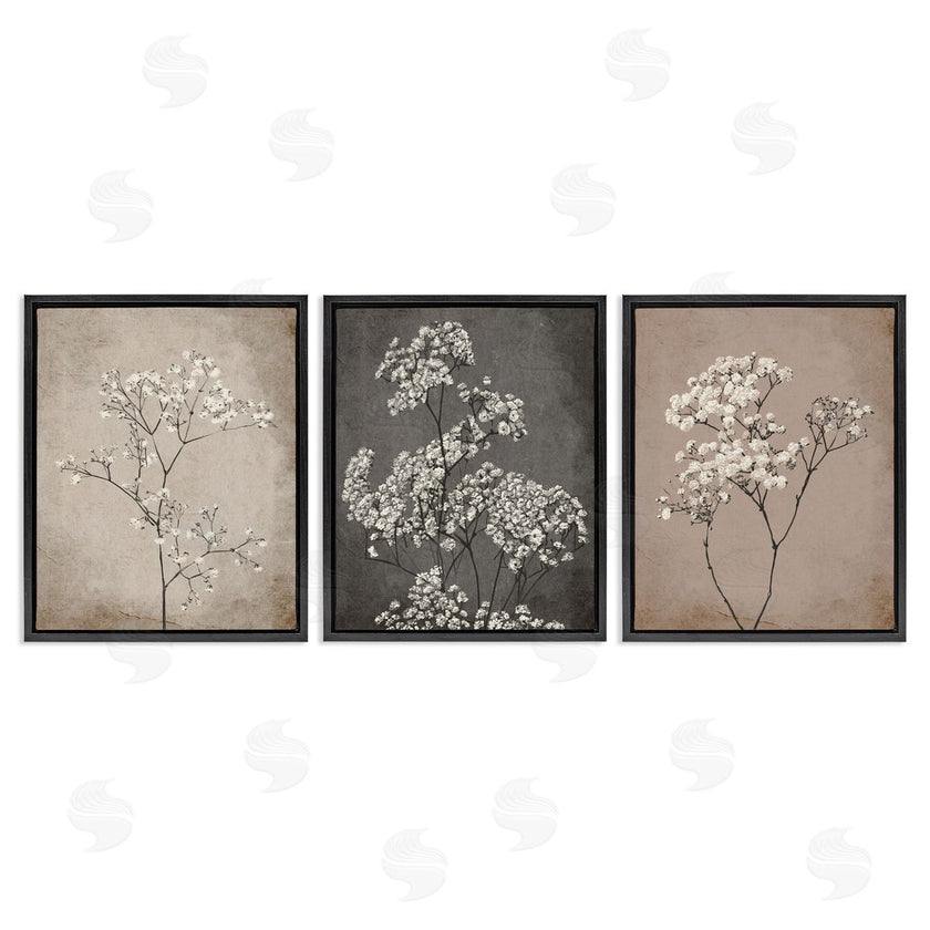Ros Ruseva | Botanical Baby's Breath Herbs