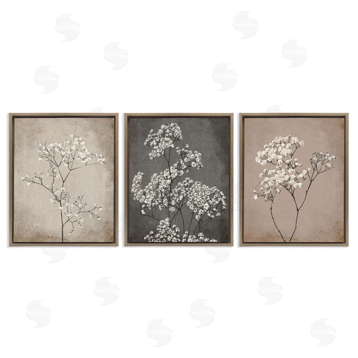 Botanical Baby's Breath Herbs Brown Floating Frame Canvas Wall Art, Home Decor by Ros Ruseva