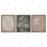 Ros Ruseva | Botanical Baby's Breath Herbs