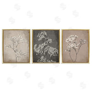 Ros Ruseva | Botanical Baby's Breath Herbs
