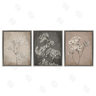 Ros Ruseva | Botanical Baby's Breath Herbs