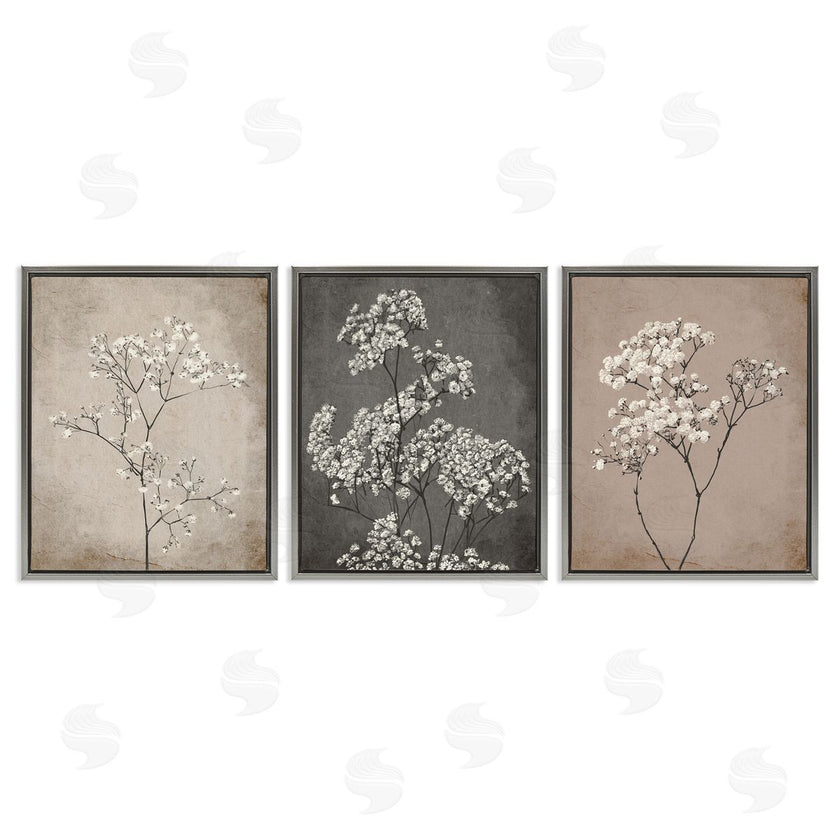 Ros Ruseva | Botanical Baby's Breath Herbs