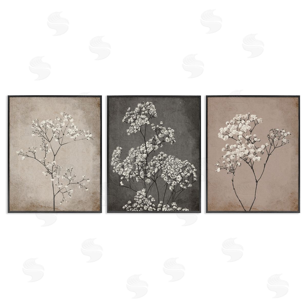 Botanical Baby's Breath Herbs Black Frame Print Wall Art, Home Decor by Ros Ruseva