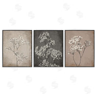 Ros Ruseva | Botanical Baby's Breath Herbs
