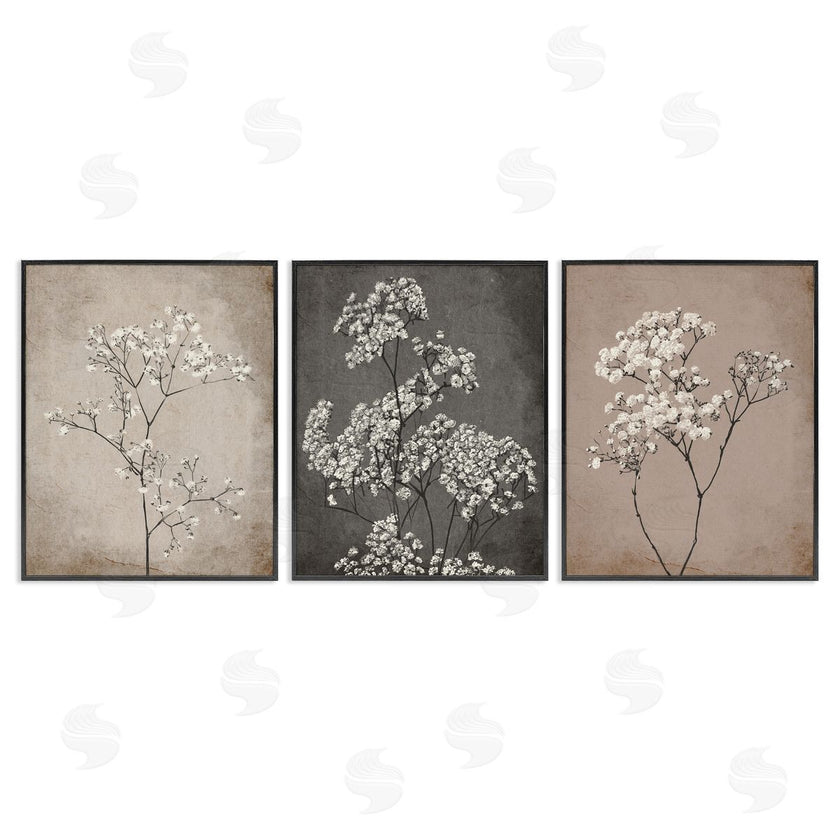 Ros Ruseva | Botanical Baby's Breath Herbs