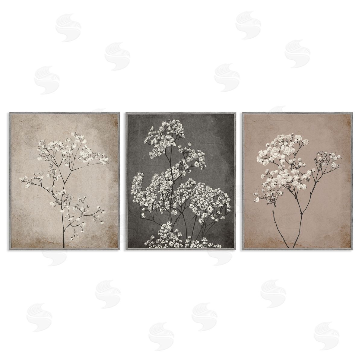 Botanical Baby's Breath Herbs Grey Frame Print Wall Art, Home Decor by Ros Ruseva