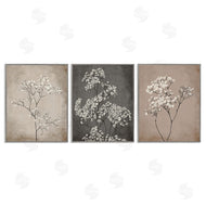Ros Ruseva | Botanical Baby's Breath Herbs