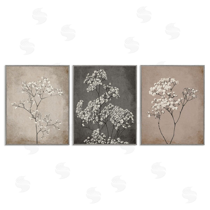 Ros Ruseva | Botanical Baby's Breath Herbs