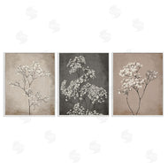 Ros Ruseva | Botanical Baby's Breath Herbs