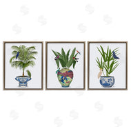 Fab Funky | Traditional House Plant Vases