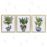 Fab Funky | Traditional House Plant Vases
