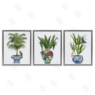Fab Funky | Traditional House Plant Vases