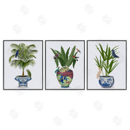 Fab Funky | Traditional House Plant Vases