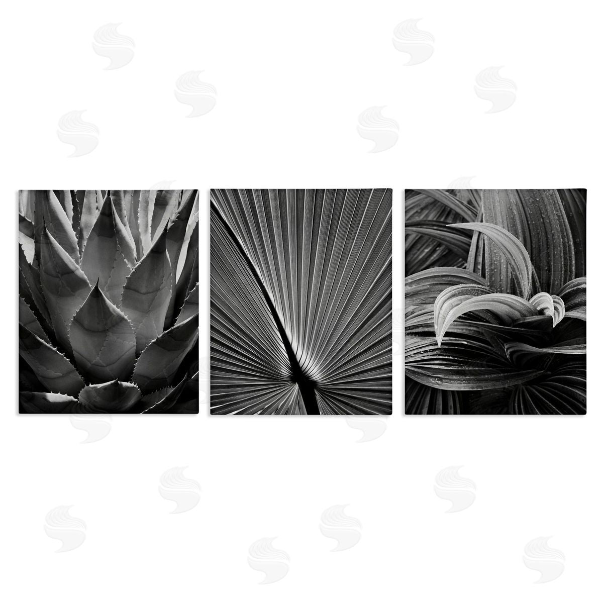 Palm Frond Details Canvas Wall Art, Home Decor by Chip Forelli