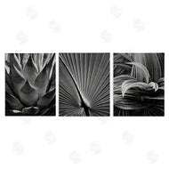 Chip Forelli | Palm Frond Details