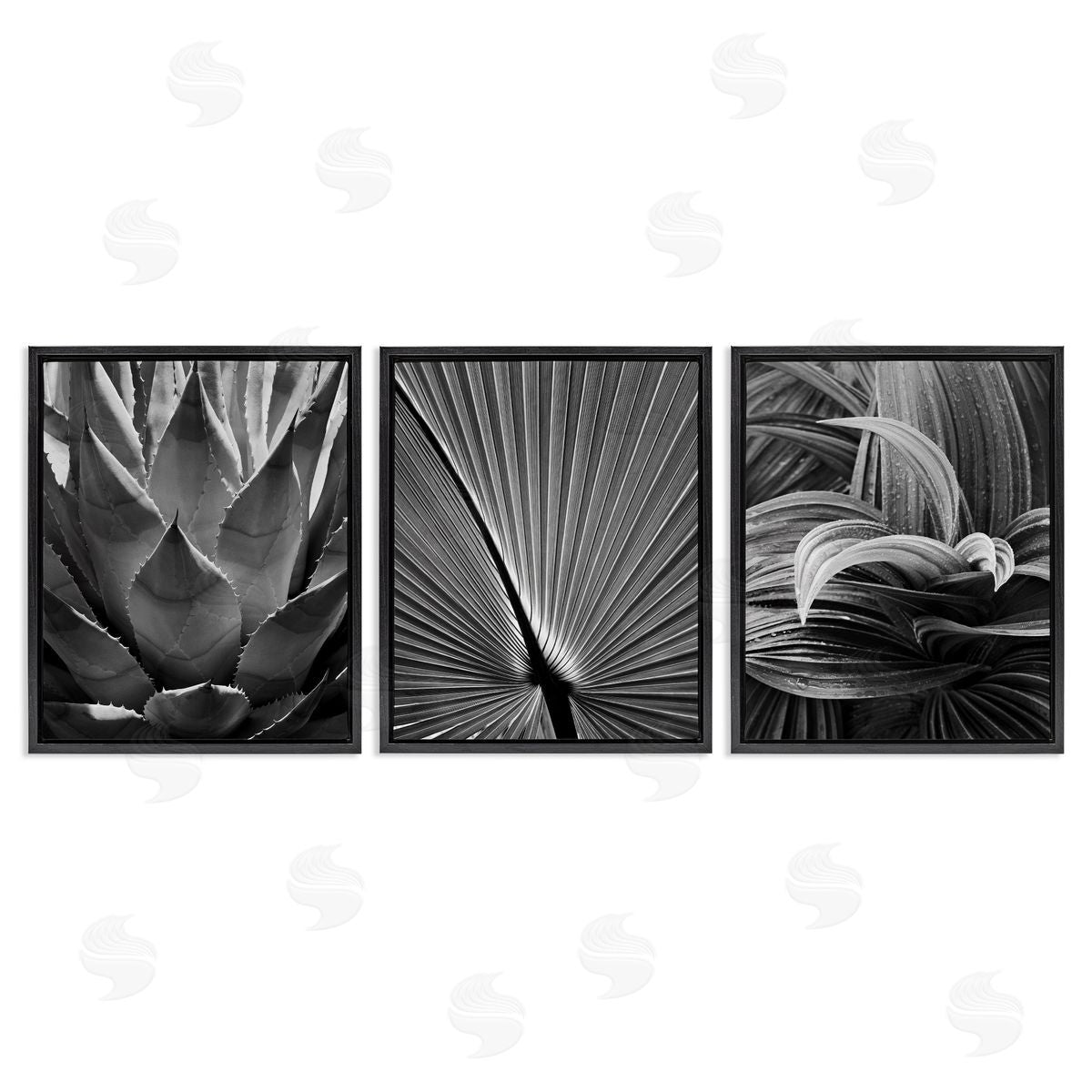 Palm Frond Details Black Floating Frame Canvas Wall Art, Home Decor by Chip Forelli