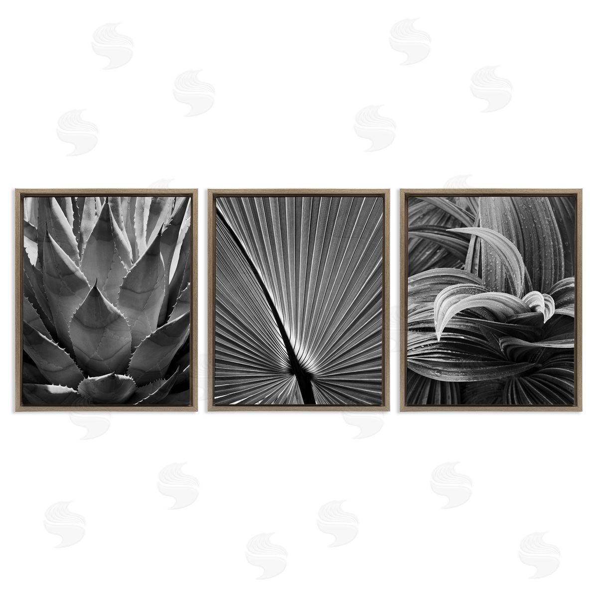 Palm Frond Details Brown Floating Frame Canvas Wall Art, Home Decor by Chip Forelli