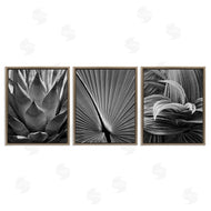 Chip Forelli | Palm Frond Details