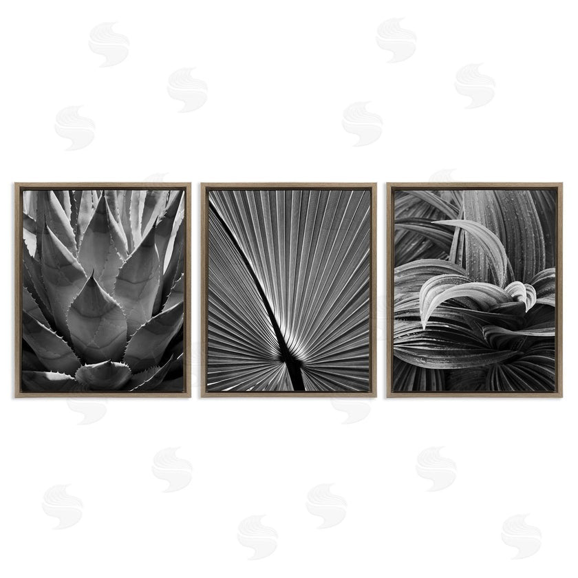 Chip Forelli | Palm Frond Details