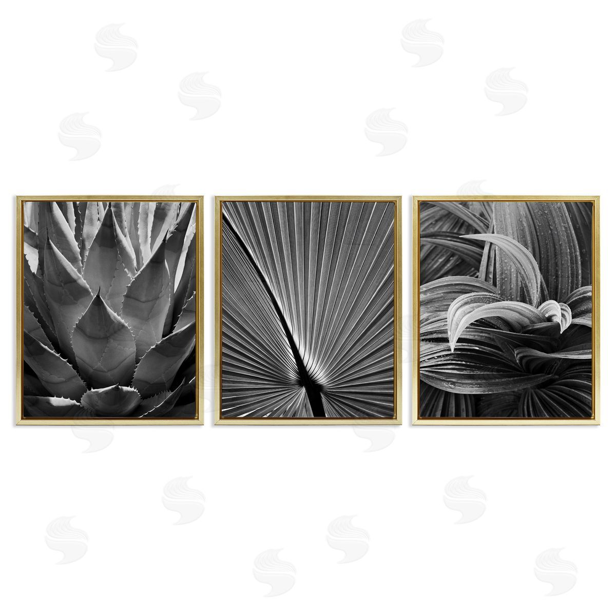 Palm Frond Details Gold Floating Frame Canvas Wall Art, Home Decor by Chip Forelli