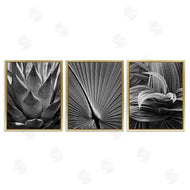 Chip Forelli | Palm Frond Details