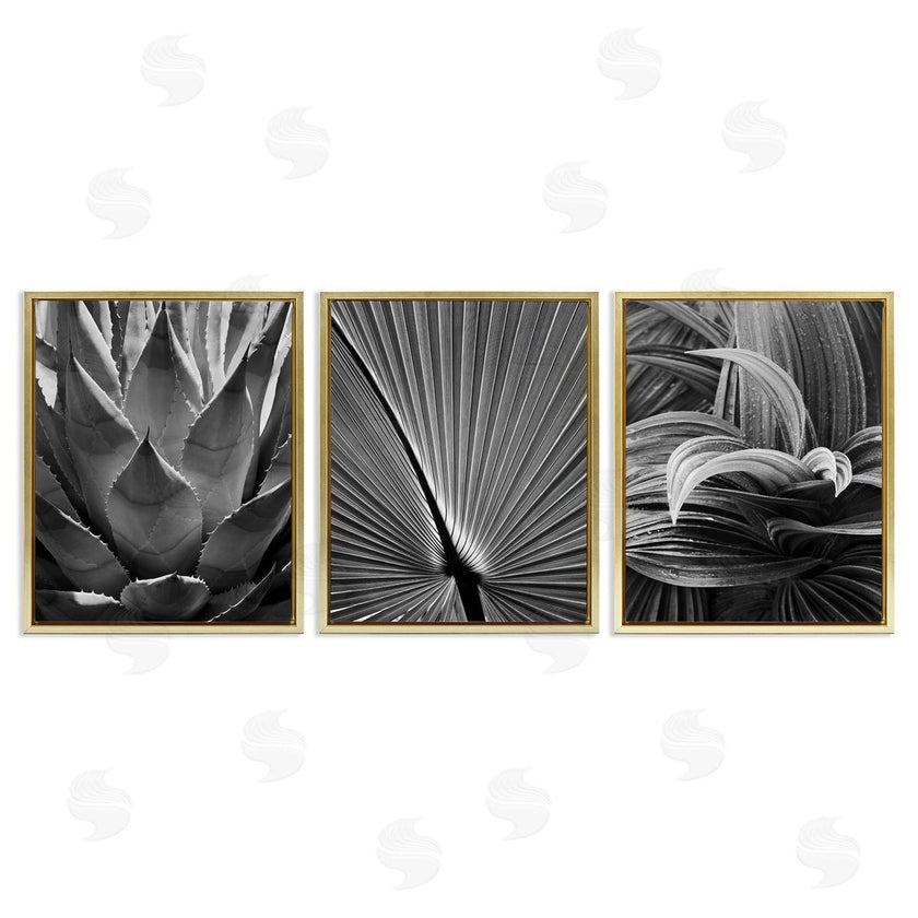 Chip Forelli | Palm Frond Details