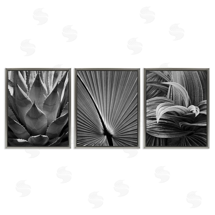 Chip Forelli | Palm Frond Details