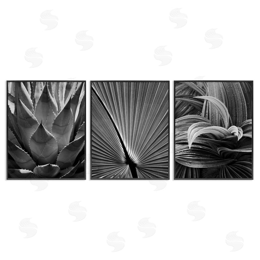 Chip Forelli | Palm Frond Details