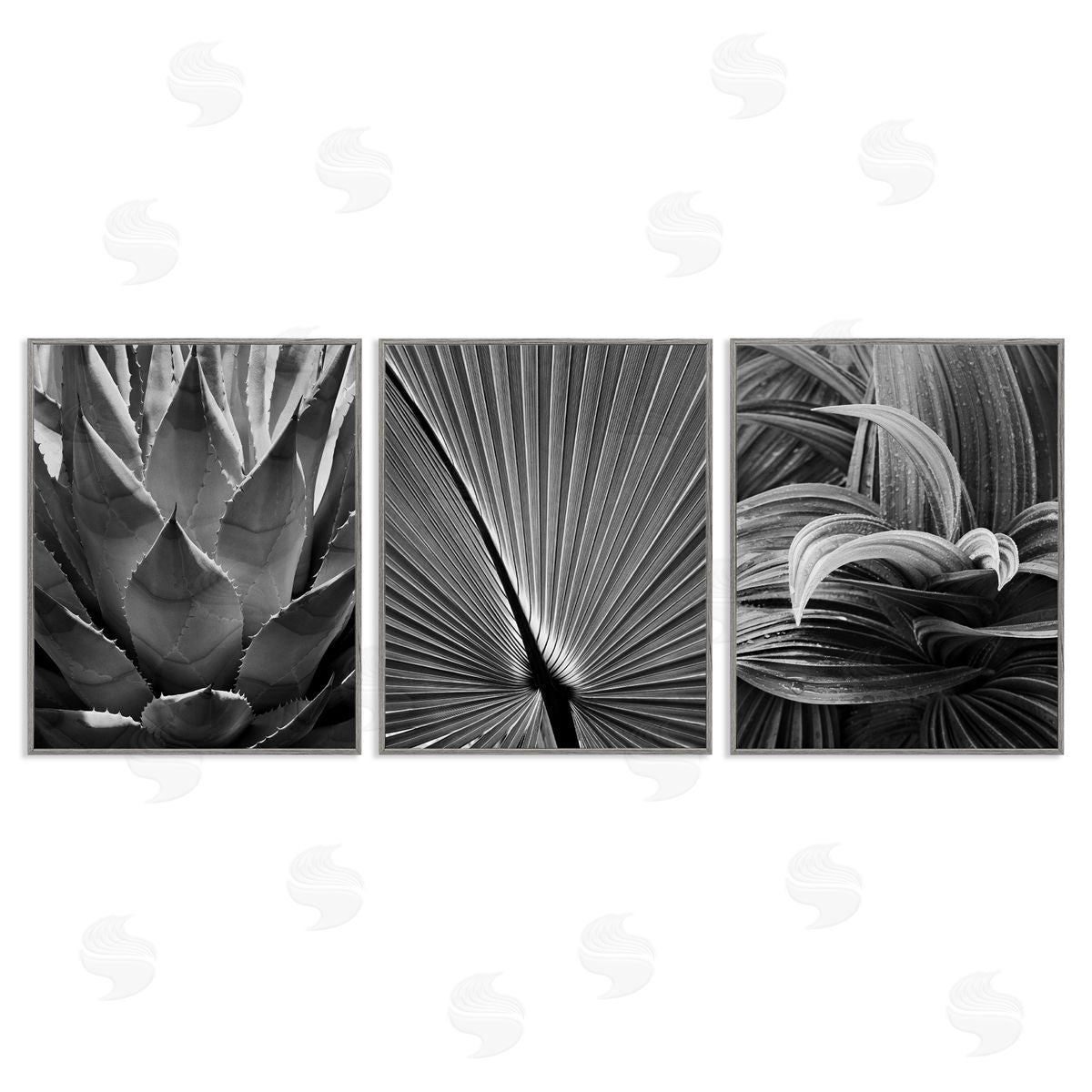 Palm Frond Details Grey Frame Print Wall Art, Home Decor by Chip Forelli