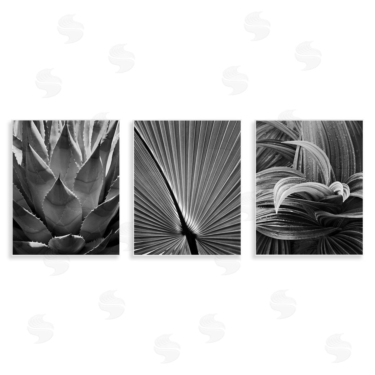 Palm Frond Details Wood Plaque Wall Art, Home Decor by Chip Forelli