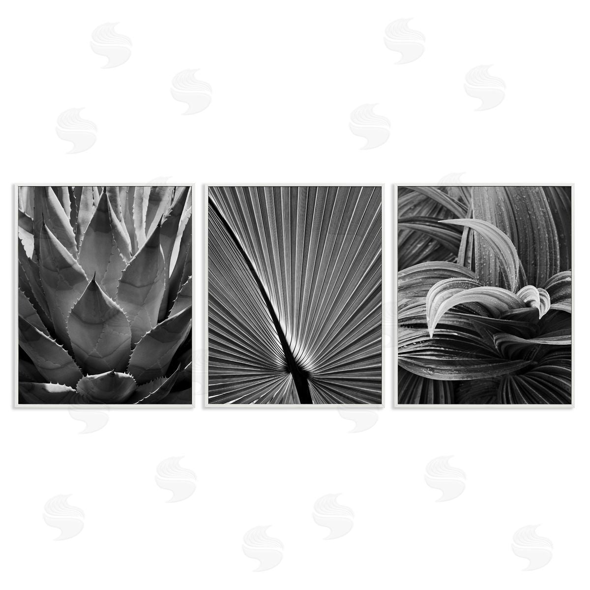 Palm Frond Details White Frame Print Wall Art, Home Decor by Chip Forelli