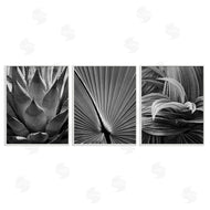 Chip Forelli | Palm Frond Details