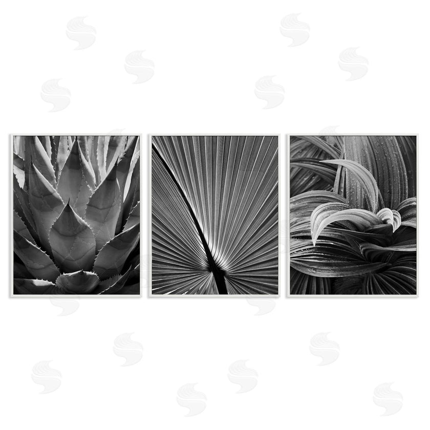 Chip Forelli | Palm Frond Details