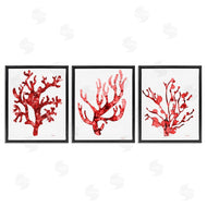 Patti Mann | Bold Red Coral