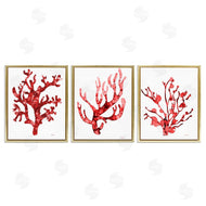 Patti Mann | Bold Red Coral