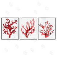 Patti Mann | Bold Red Coral